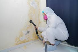 Best Air Quality Testing for Mold Spores  in Peachtree Corners, GA